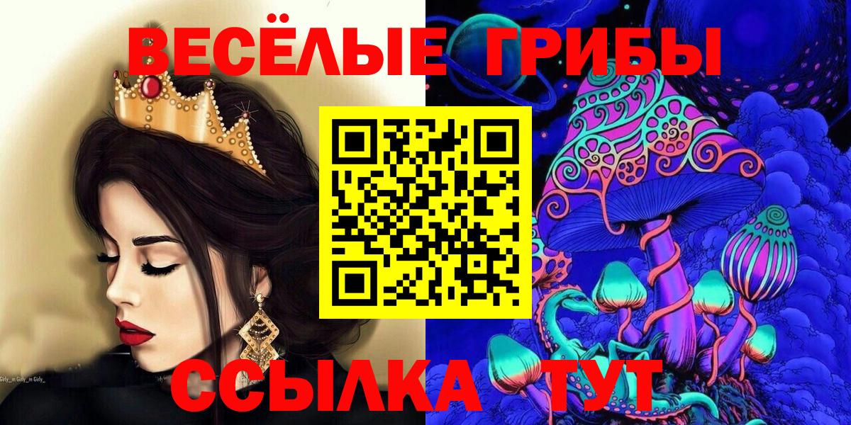Псилоцибиновые грибы GOLDEN TEACHER Щёкино